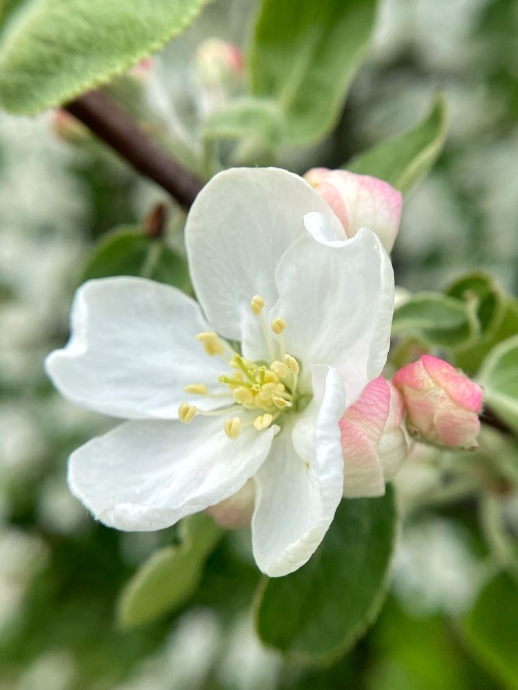 Photograph by Станислава Садыкова