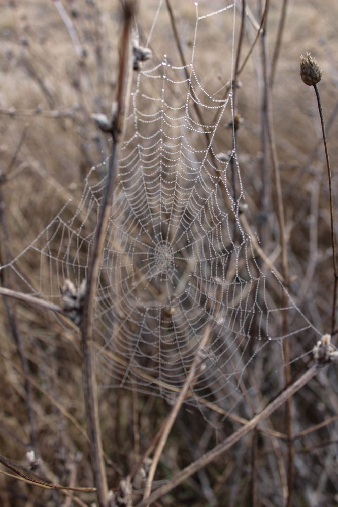 Photograph by Ирина Дмитриенко