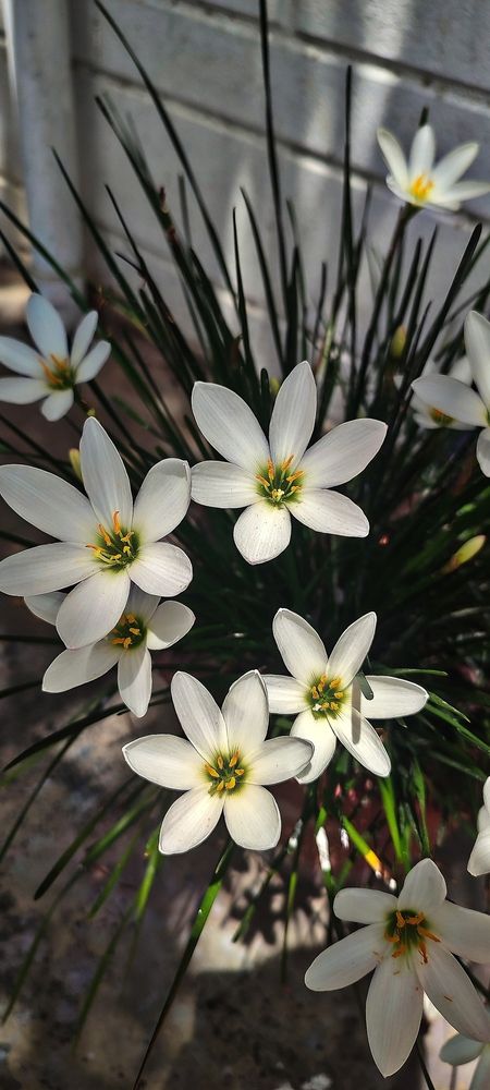 Photograph by Hassana Beegam