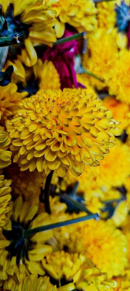 Photograph by Hassana Beegam