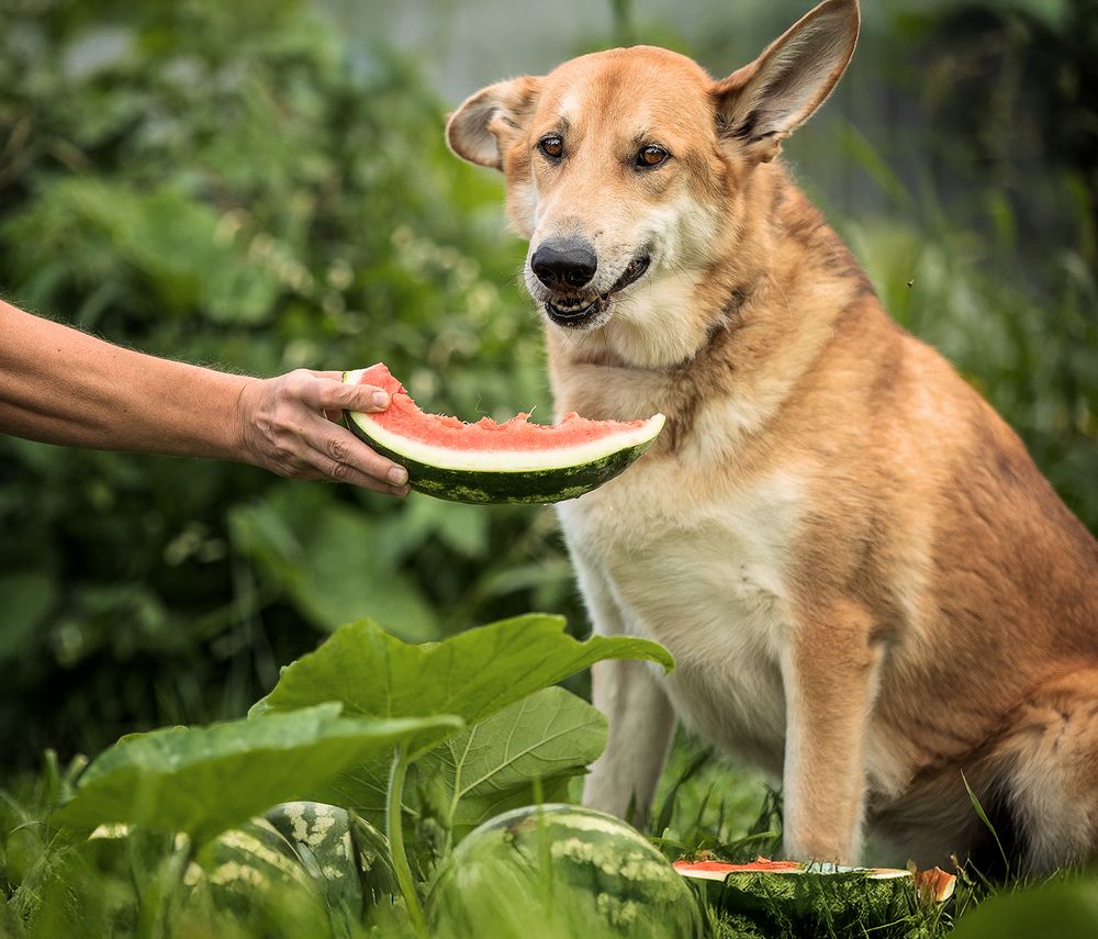 Photograph by Елена Самусенкова