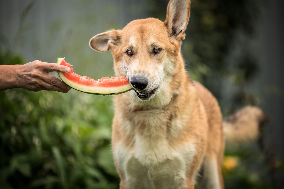 Photograph by Елена Самусенкова