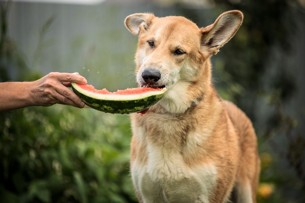 Photograph by Елена Самусенкова
