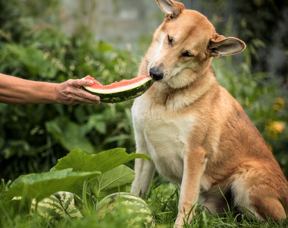 Photograph by Елена Самусенкова