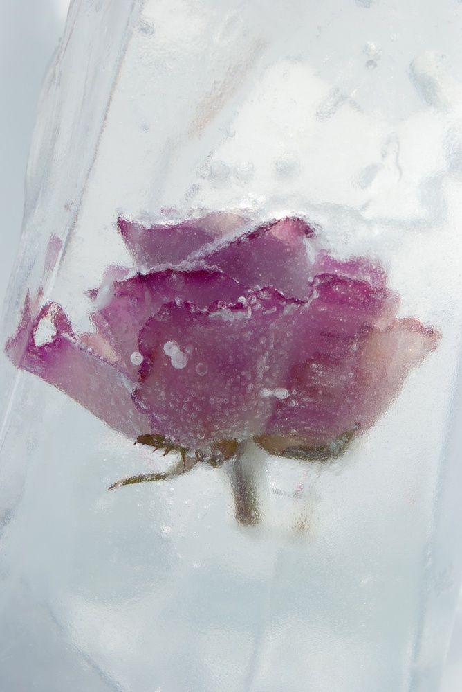 Фотография автора Виктория Астахова