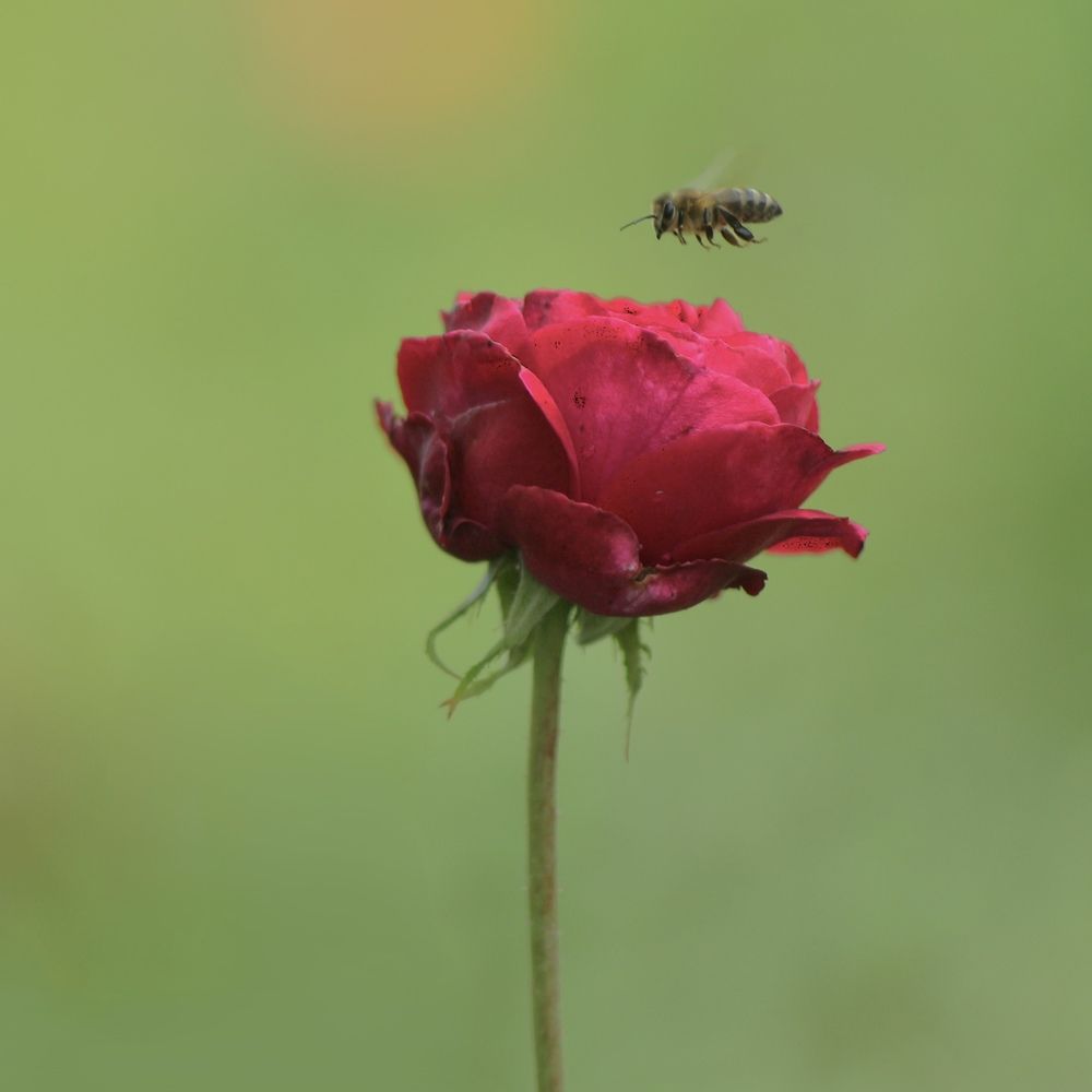 Photograph by Затямин Александр