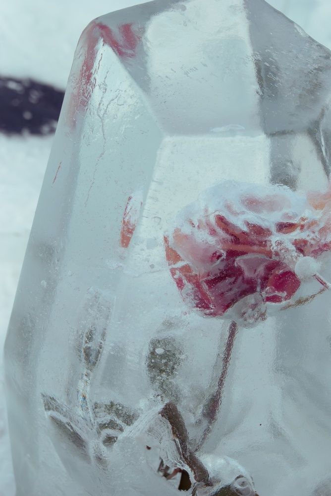 Фотография автора Виктория Астахова