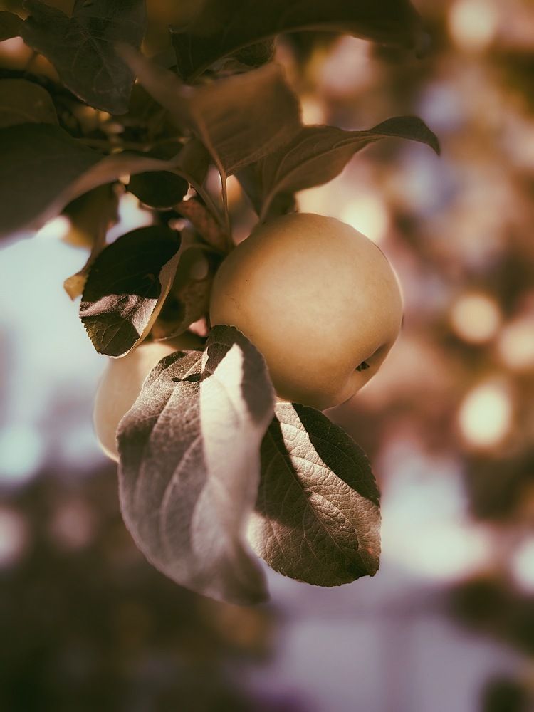 Photograph by Татьяна Волохова