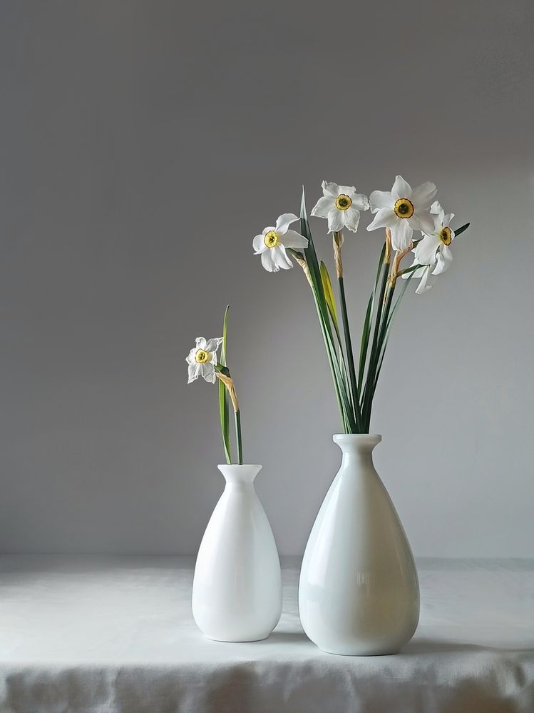 Фотография автора Татьяна Шахова