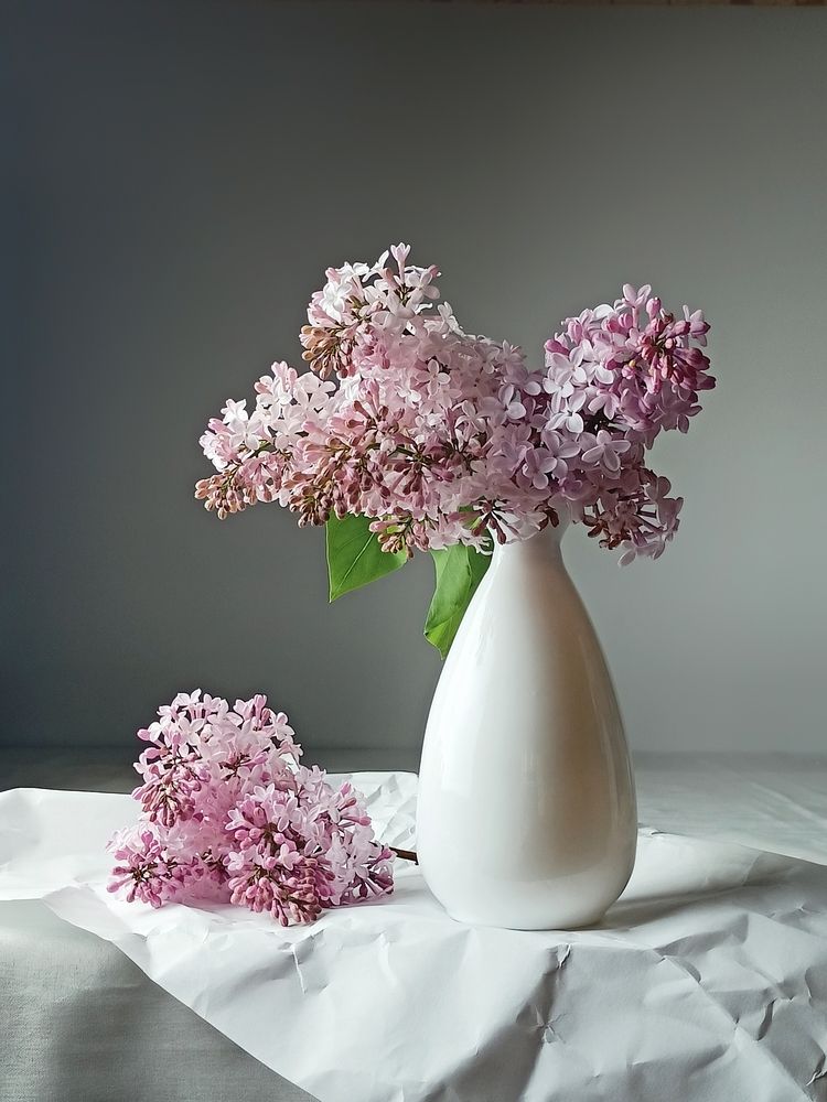 Фотография автора Татьяна Шахова