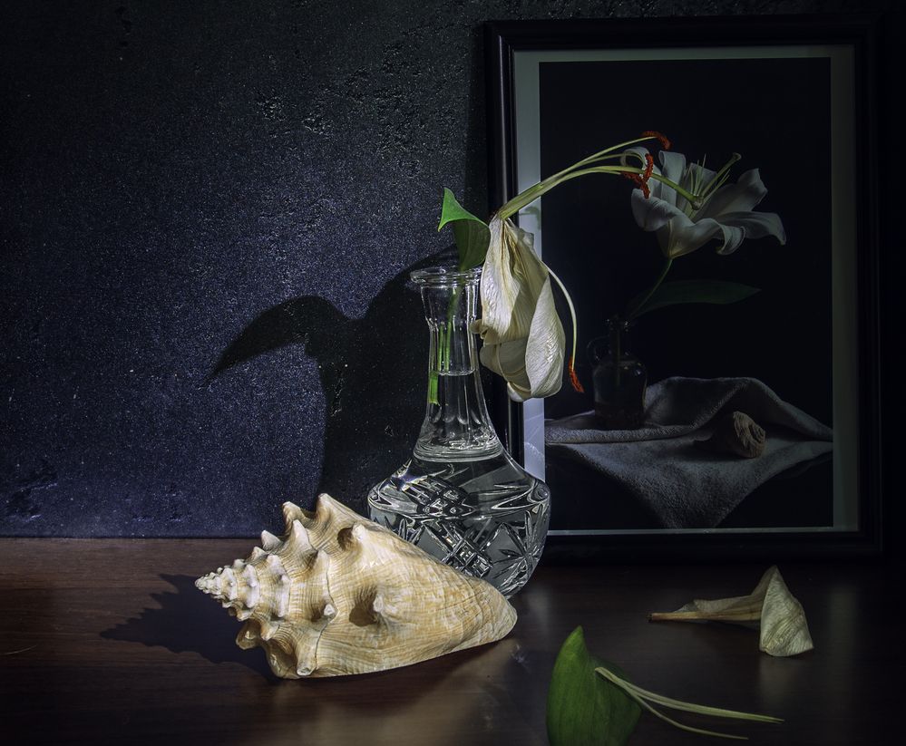 Пожилая лилия