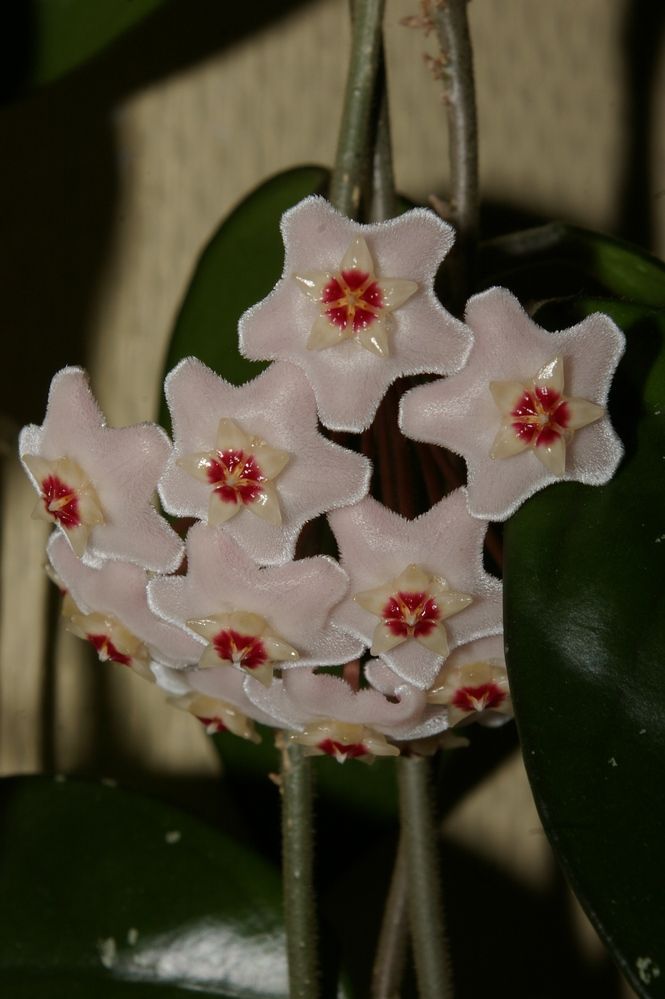 Photograph by Елена Алешкевич