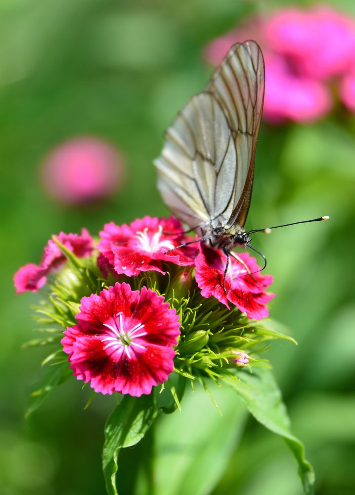 Photograph by Андрей Чуйков