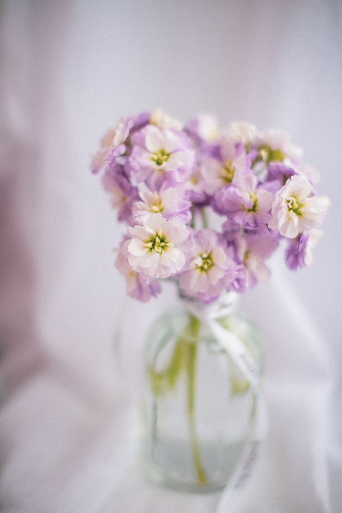 Photograph by Вика Фолина