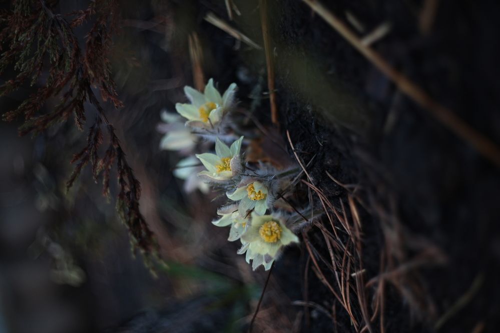 Photograph by Анна