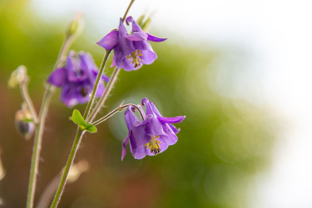 Photograph by Рыков Андрей