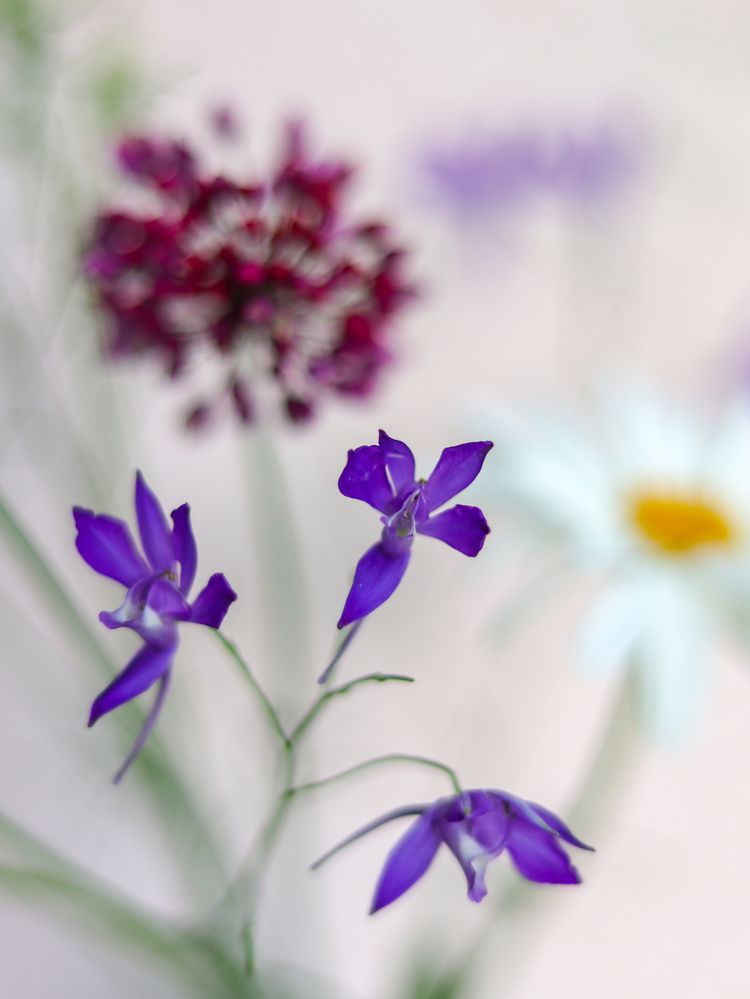 Photograph by Ирина Корабельникова