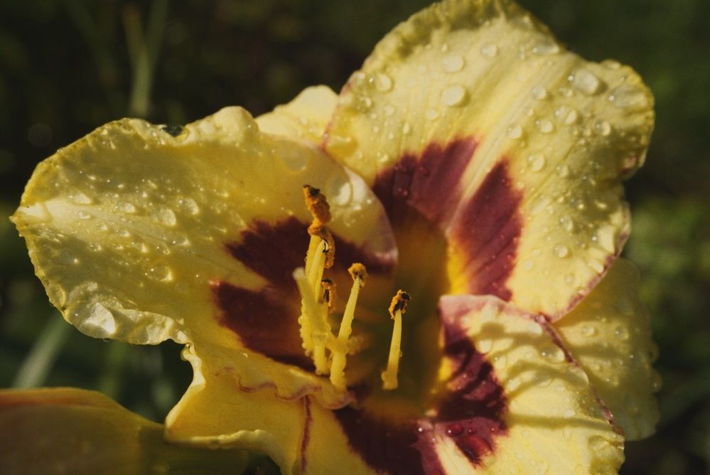 Фотография автора Анастасия Мешкова