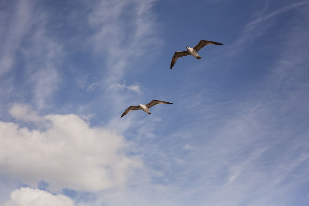 Photograph by Филипп Бабенко