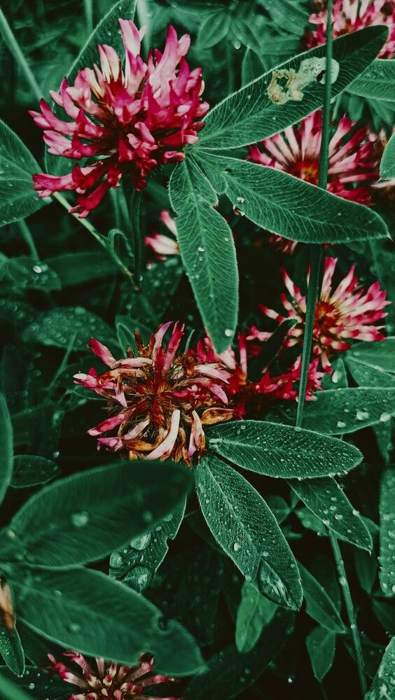 Photograph by Людмила Горячева