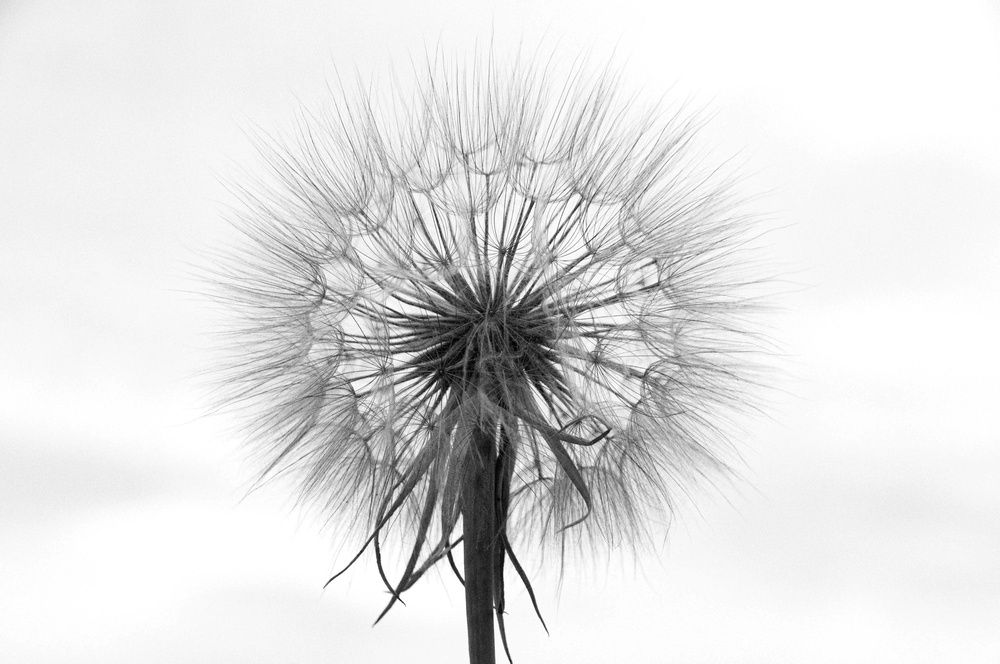 Photograph by Andrey