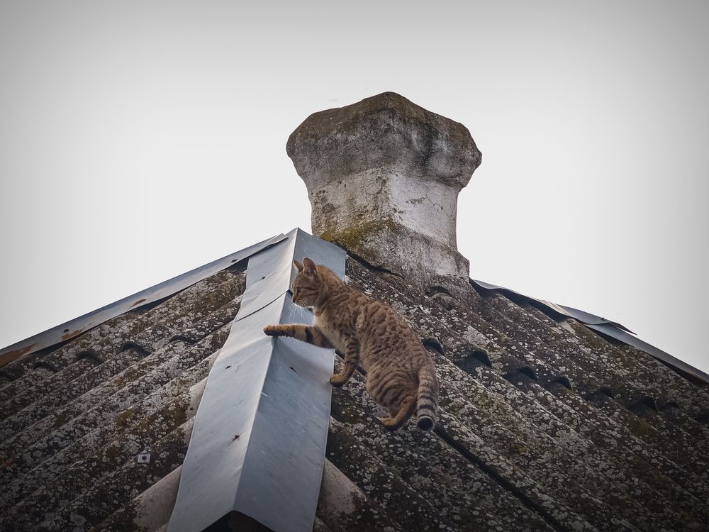 Photograph by Филипп Бабенко