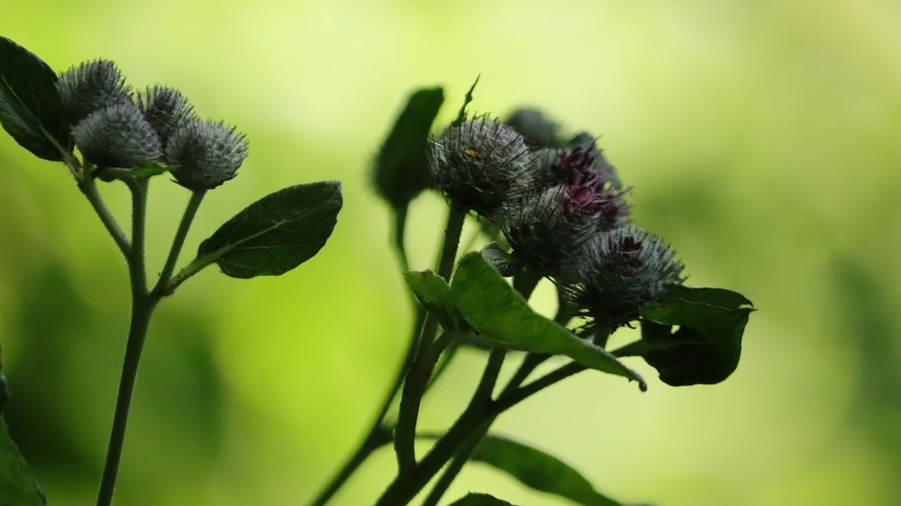 Photograph by Екатерина Александровна