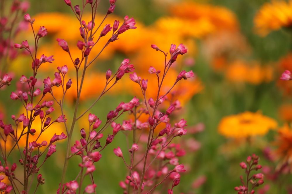 Photograph by Екатерина Александровна