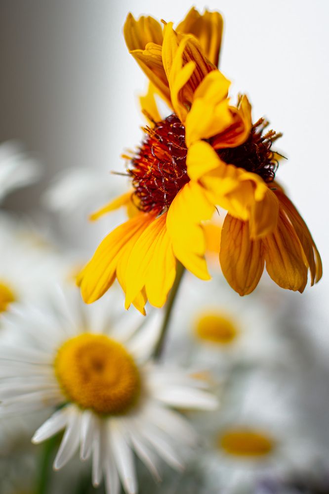 Photograph by Наталья Кокорина