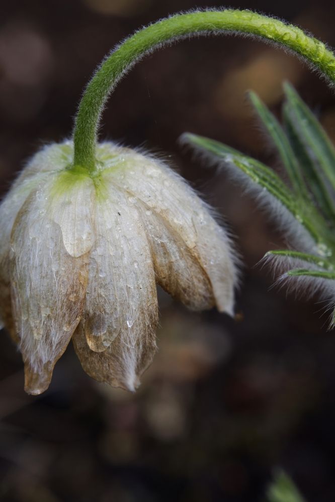 Photograph by Андрей Щербинин