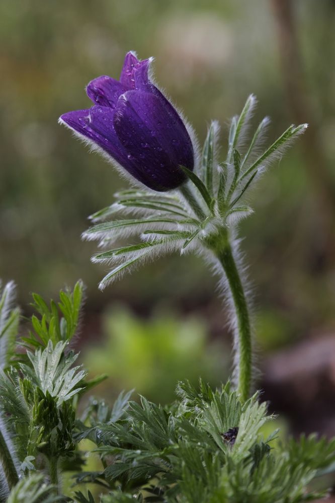 Photograph by Андрей Щербинин