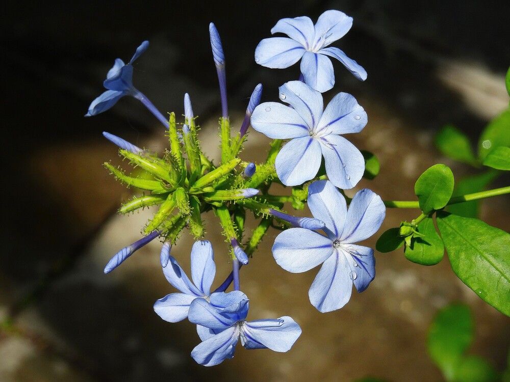 Photograph by Марина Раткун