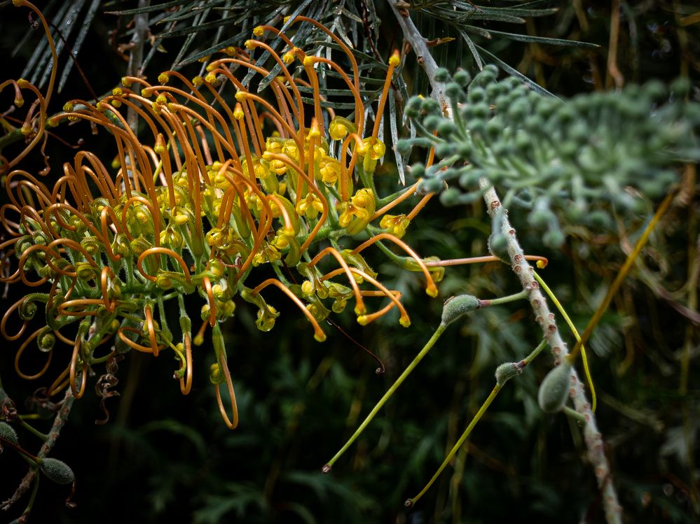 Photograph by Наталья Кокорина