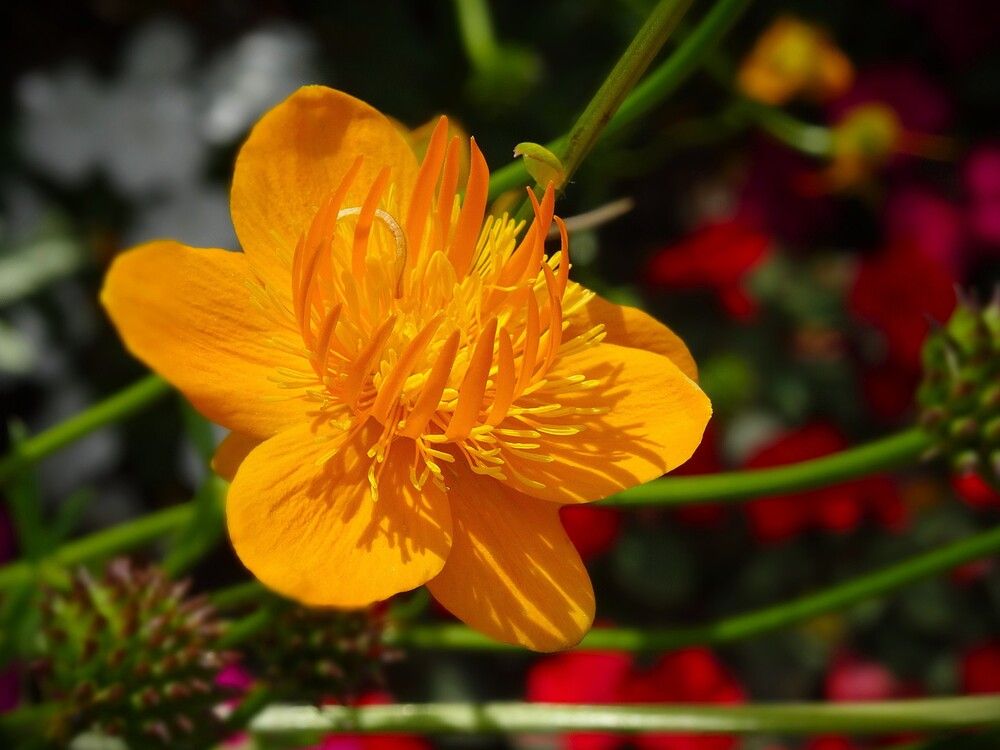 Photograph by Марина Раткун