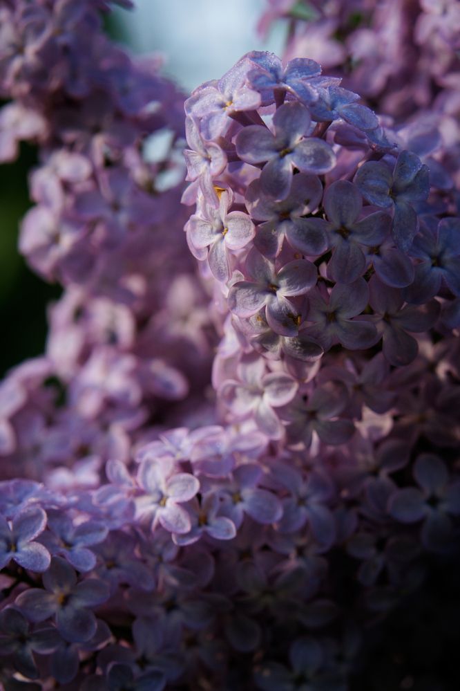 Photograph by Андрей Щербинин