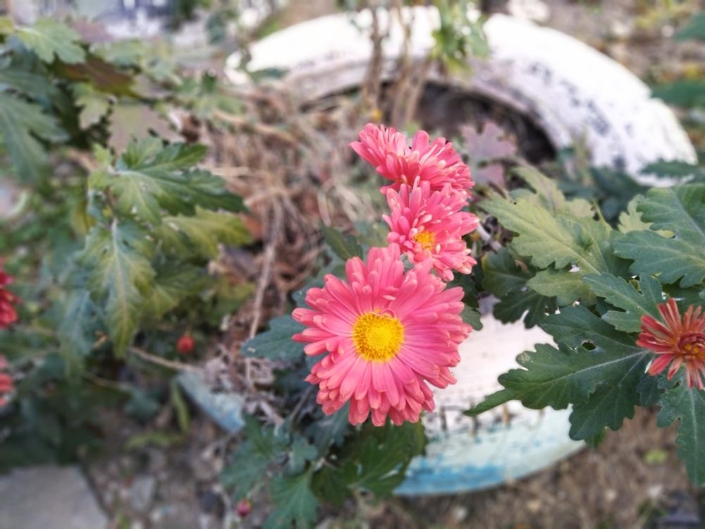 Фотография автора Анатолий Дячина