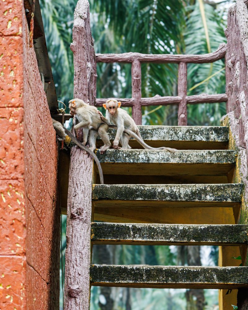 Photograph by Jimmy George