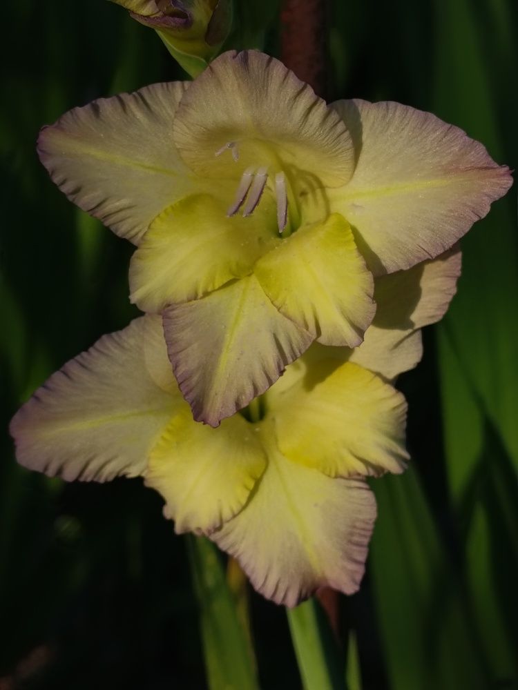 Photograph by Елена Пархоменко