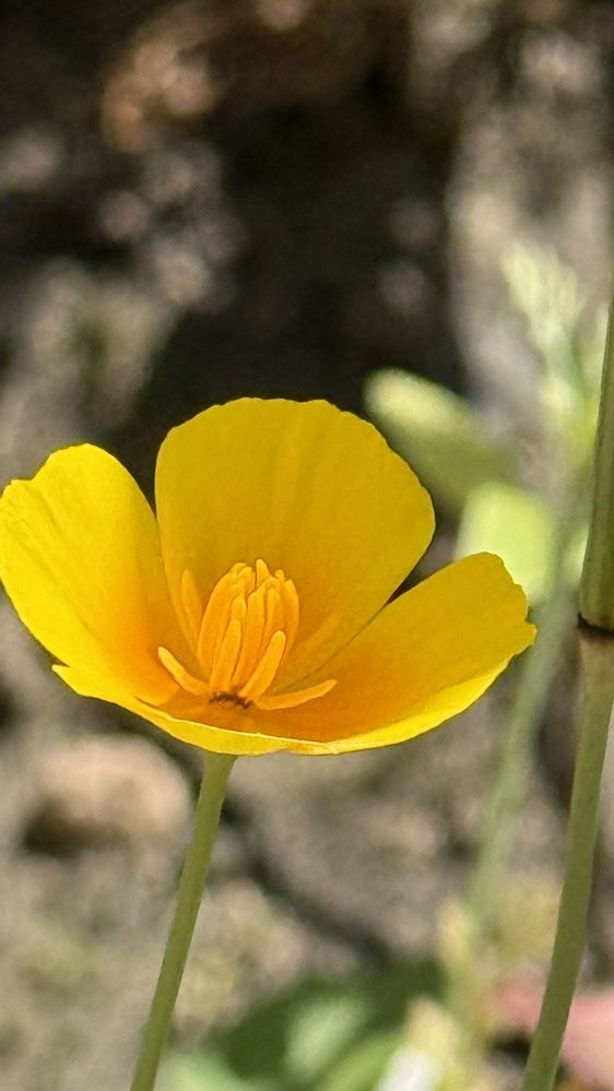 Photograph by Елена Гущина