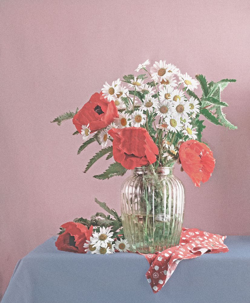 Photograph by Дымова Вера