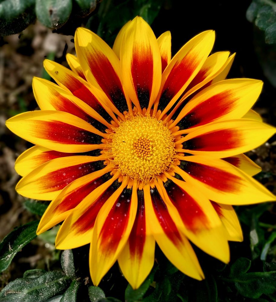 Photograph by Rahul Raman