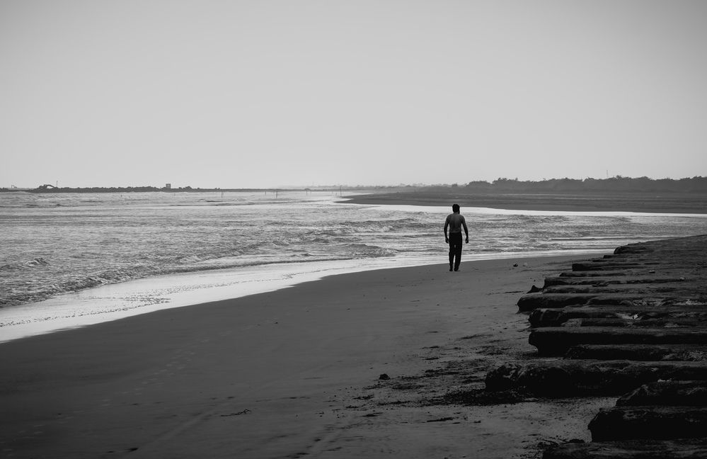 Ying Yang of The  Shore