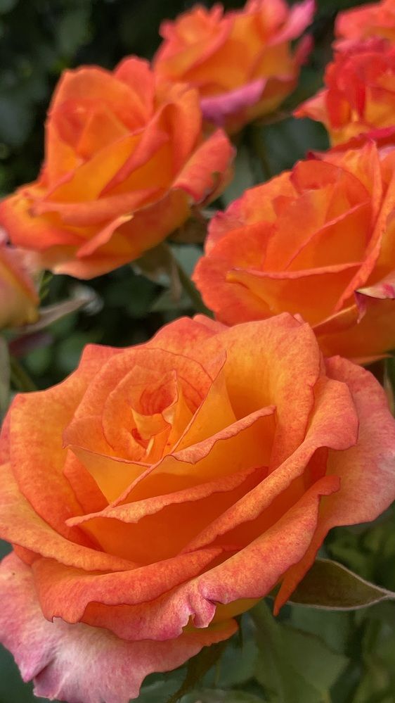 Photograph by Ольга Дорошенко