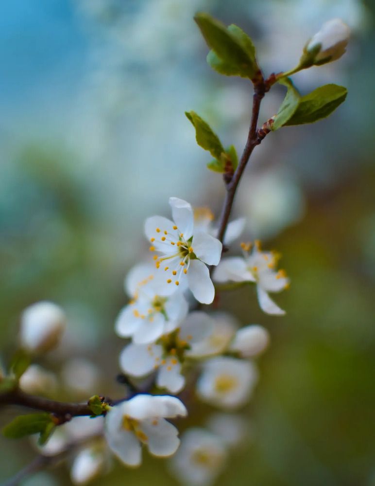 Photograph by Татьяна Хорошун