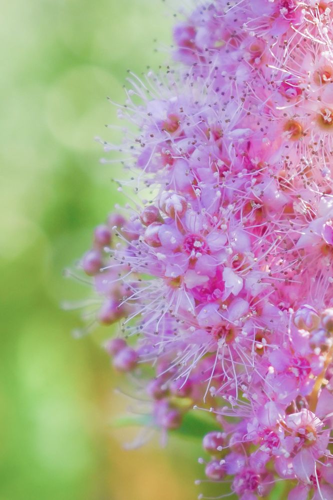 Photograph by Татьяна Хорошун