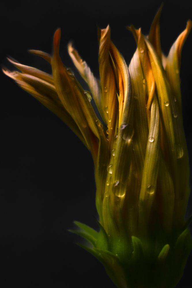 Photograph by Татьяна Хорошун