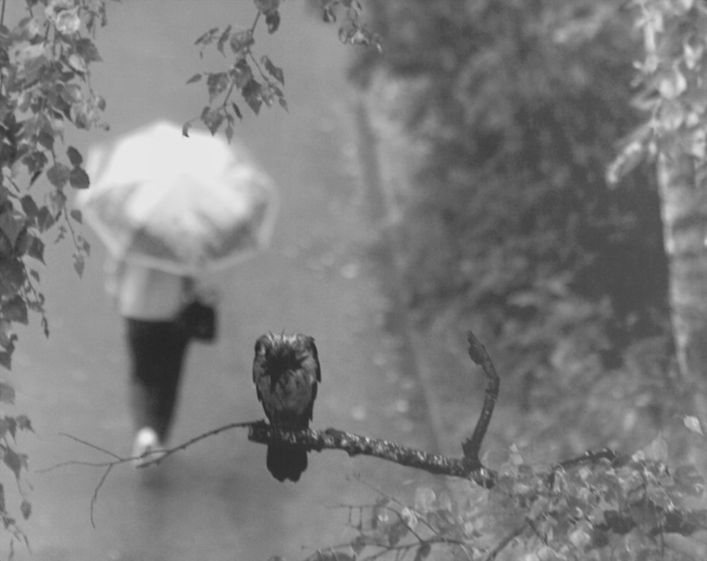 Photograph by Сергей Рябов