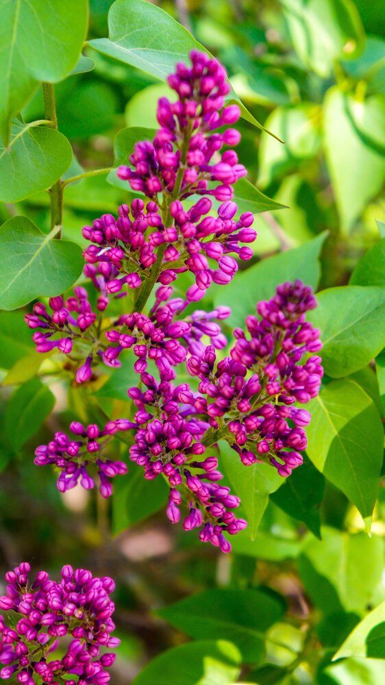 Photograph by Igors Rostikovs