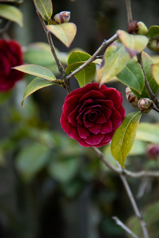 Photograph by Ксения Золотарь