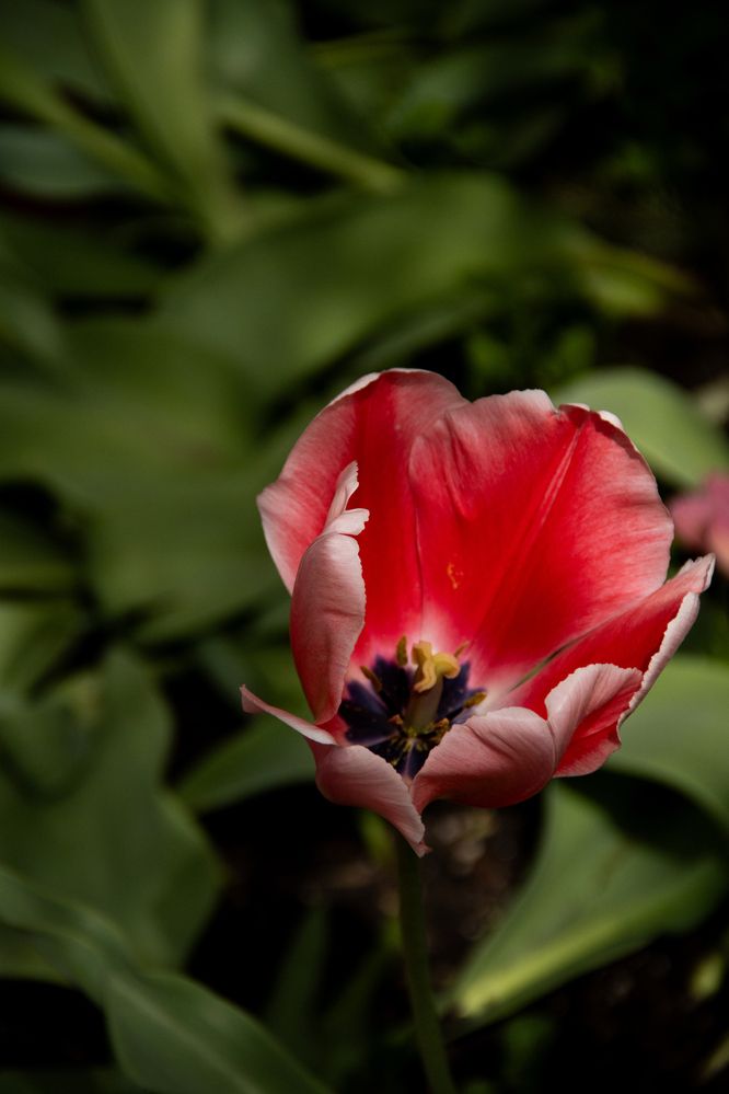 Photograph by Ксения Золотарь